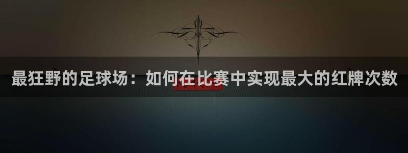  最狂野的足球场：如何在比赛中实现最大的红牌次数