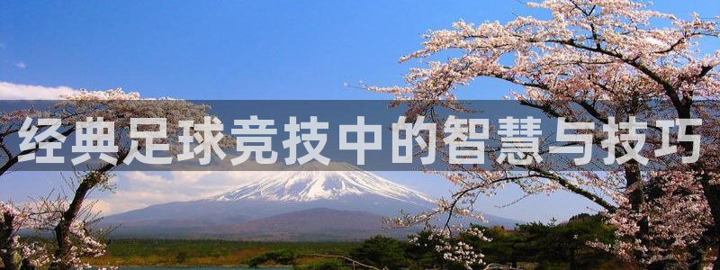  经典足球竞技中的智慧与技巧