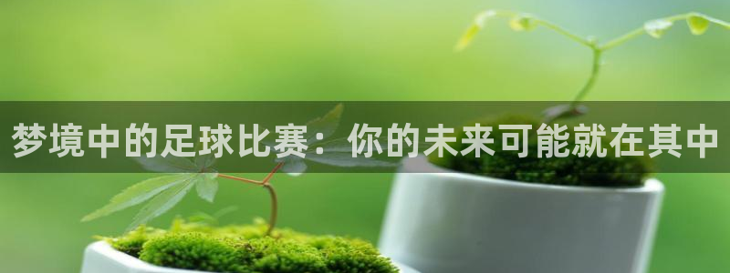 梦境中的足球比赛：你的未来可能就在其中