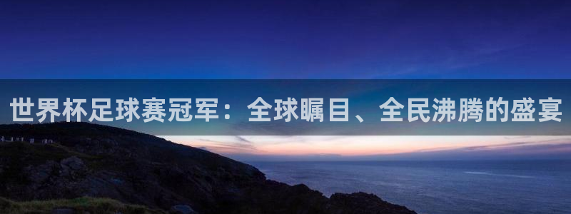  世界杯足球赛冠军：全球瞩目、全民沸腾的盛宴