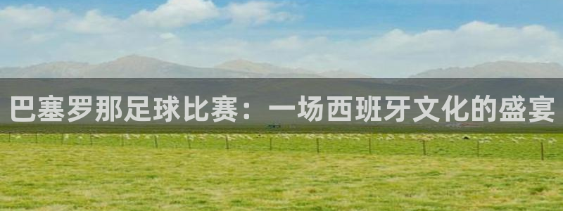  巴塞罗那足球比赛：一场西班牙文化的盛宴