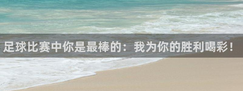 足球比赛中你是最棒的：我为你的胜利喝