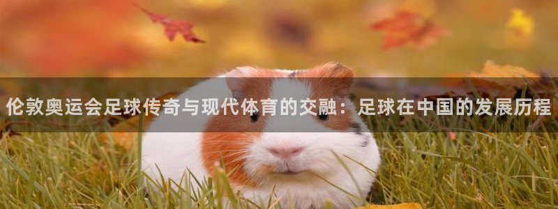  伦敦奥运会足球传奇与现代体育的交融：足球在中国的发展历程