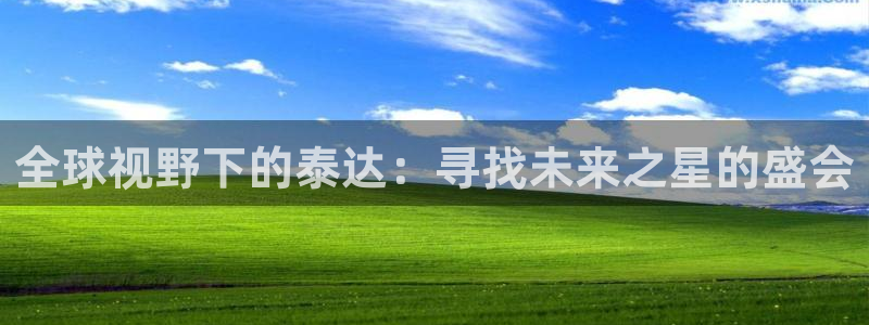全球视野下的泰达：寻找未来之星的盛会