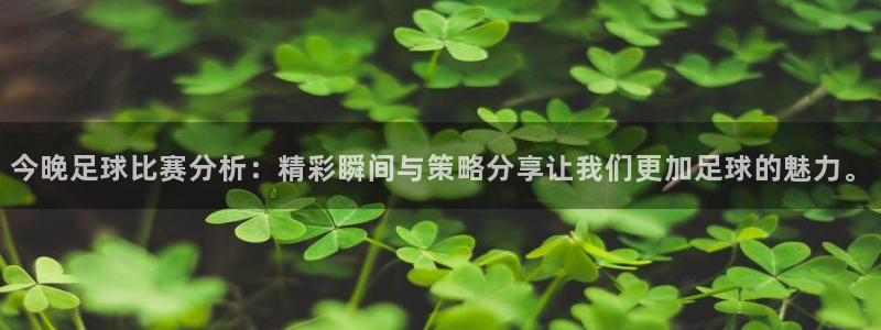 今晚足球比赛分析：精彩瞬间与策略分享让我们更加足球的魅力。