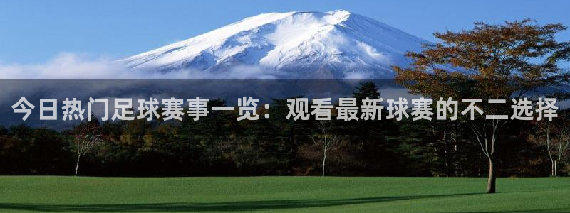  今日热门足球赛事一览：观看最新球赛的不二选择