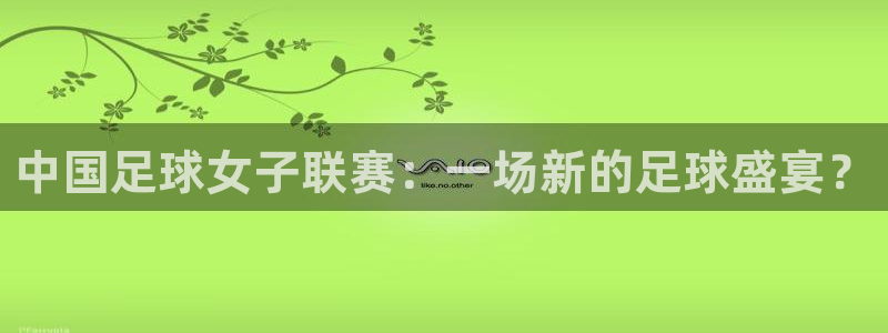 中国足球女子联赛：一场新的足球盛宴？