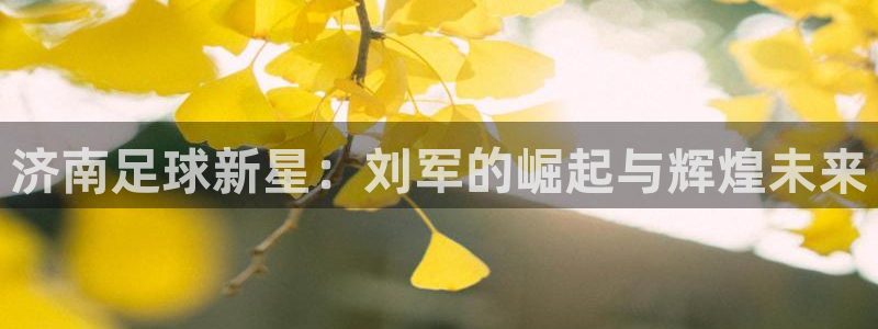 济南足球新星：刘军的崛起与辉煌未来