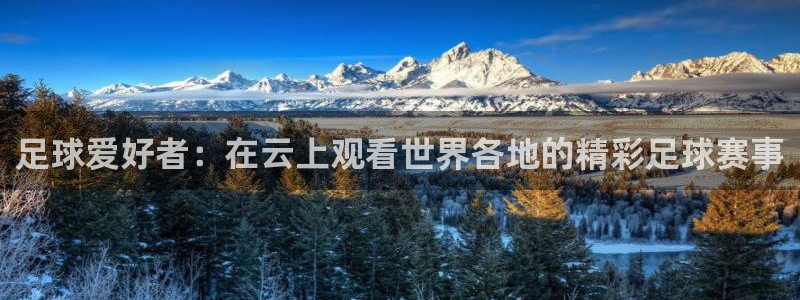  足球爱好者：在云上观看世界各地的精彩足球赛事