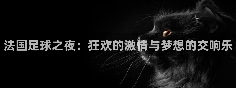  法国足球之夜：狂欢的激情与梦想的交响乐