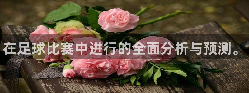  在足球比赛中进行的全面分析与预测。