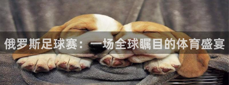 俄罗斯足球赛：一场全球瞩目的体育盛宴