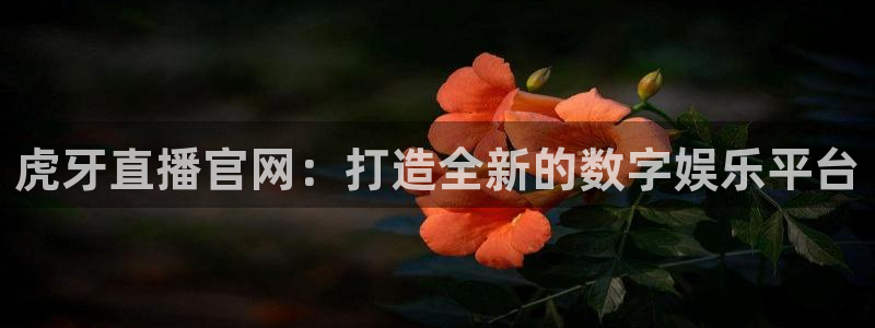 so米体育免费观看：虎牙直播官网：打造全新的数字娱乐平台