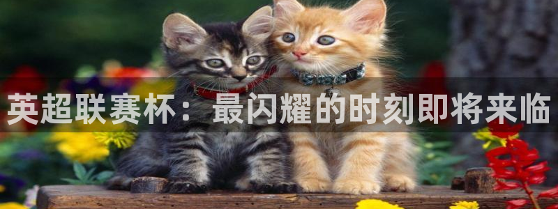 so米直播平台：英超联赛杯：最闪耀的时刻即将来临