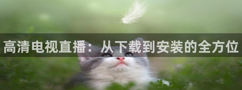 so米体育下载：高清电视直播：从下载到安装的全方位