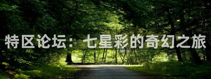 so米体育免费观看：特区论坛：七星彩的奇幻之旅