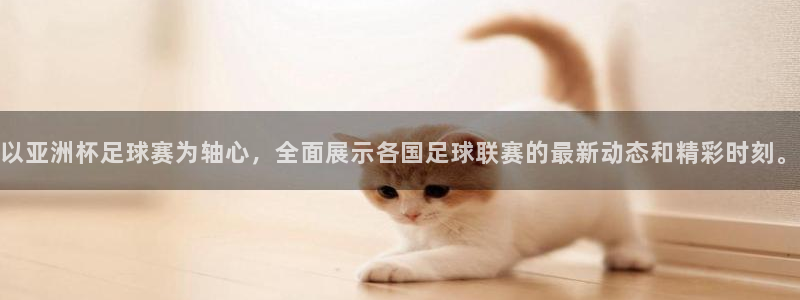 以亚洲杯足球赛为轴心，全面展示各国足