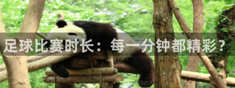 足球比赛时长：每一分钟都精彩？