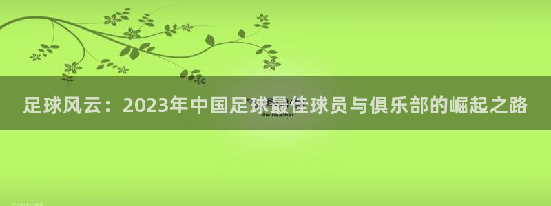 足球风云：2023年中国足球最佳球员