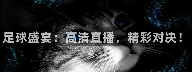 足球盛宴：高清直播，精彩对决！