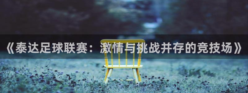 《泰达足球联赛：激情与挑战并存的竞技