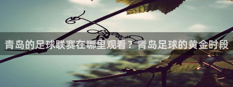 青岛的足球联赛在哪里观看？青岛足球的