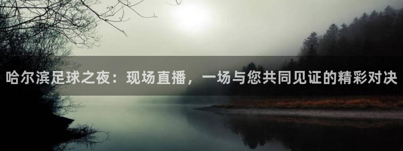 哈尔滨足球之夜：现场直播，一场与您共