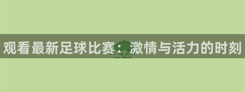 观看最新足球比赛：激情与活力的时刻