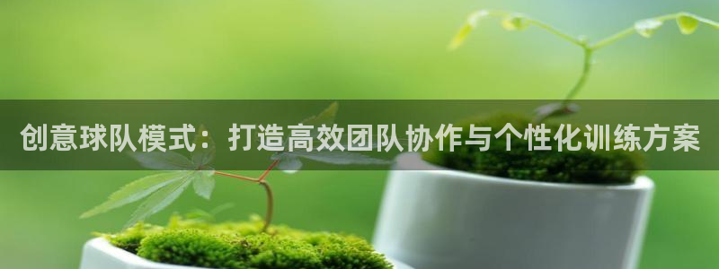 创意球队模式：打造高效团队协作与个性