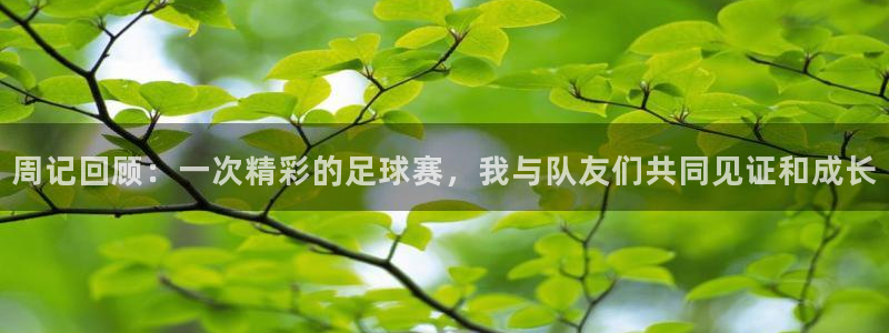 周记回顾：一次精彩的足球赛，我与队友