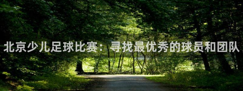 北京少儿足球比赛：寻找最优秀的球员和