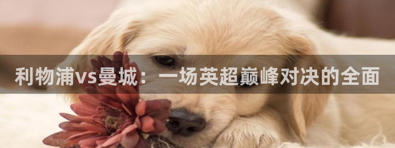 so米体育直播在线：利物浦vs曼城：一场英超巅峰对决的全面