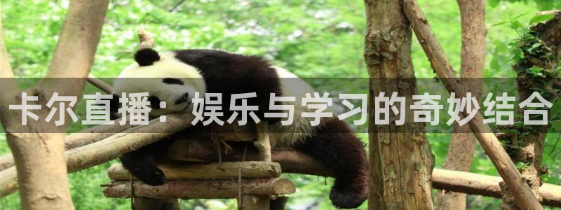 so米直播nba：卡尔直播：娱乐与学习的奇妙结合