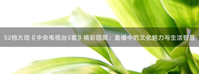 so米体育免费直播入口：52档大戏《中央电视台5套》精彩回顾：直播中的文化魅力与生活智慧