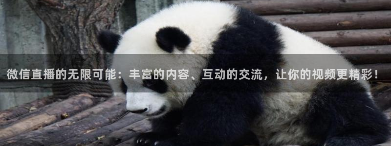 so米体育免费直播入口：微信直播的无限可能：丰富的内容、互动的交流，让你的视频更精彩！