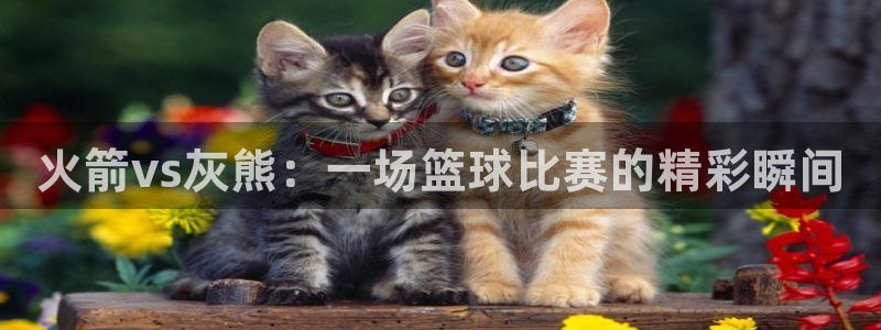 so米：火箭vs灰熊：一场篮球比赛的精彩瞬间